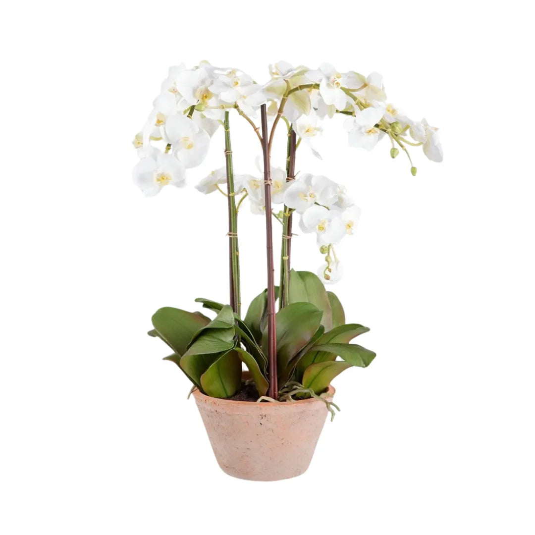 arranjo-de-orquidea-branca-artificial