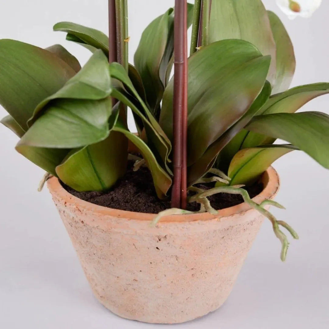 arranjo-de-orquidea-branca-artificial