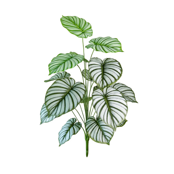 planta-artificial-calathea-orbifolia