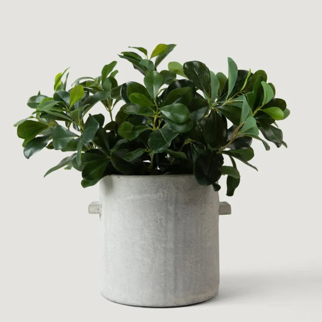 planta-artificial-folhagem-de-ligustro-realista
