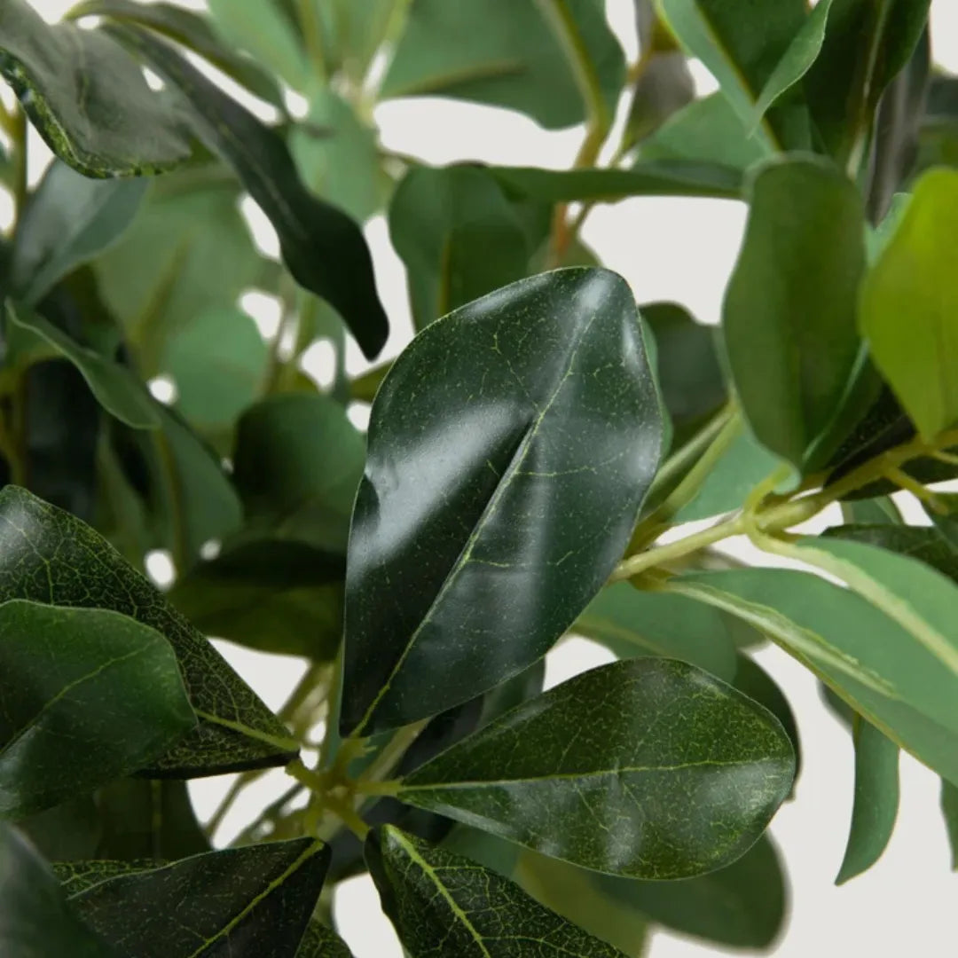 planta-artificial-folhagem-de-ligustro-realista