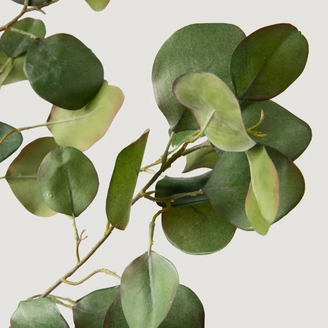 planta-artificial-ramo-de-eucalipto-silver-dollar