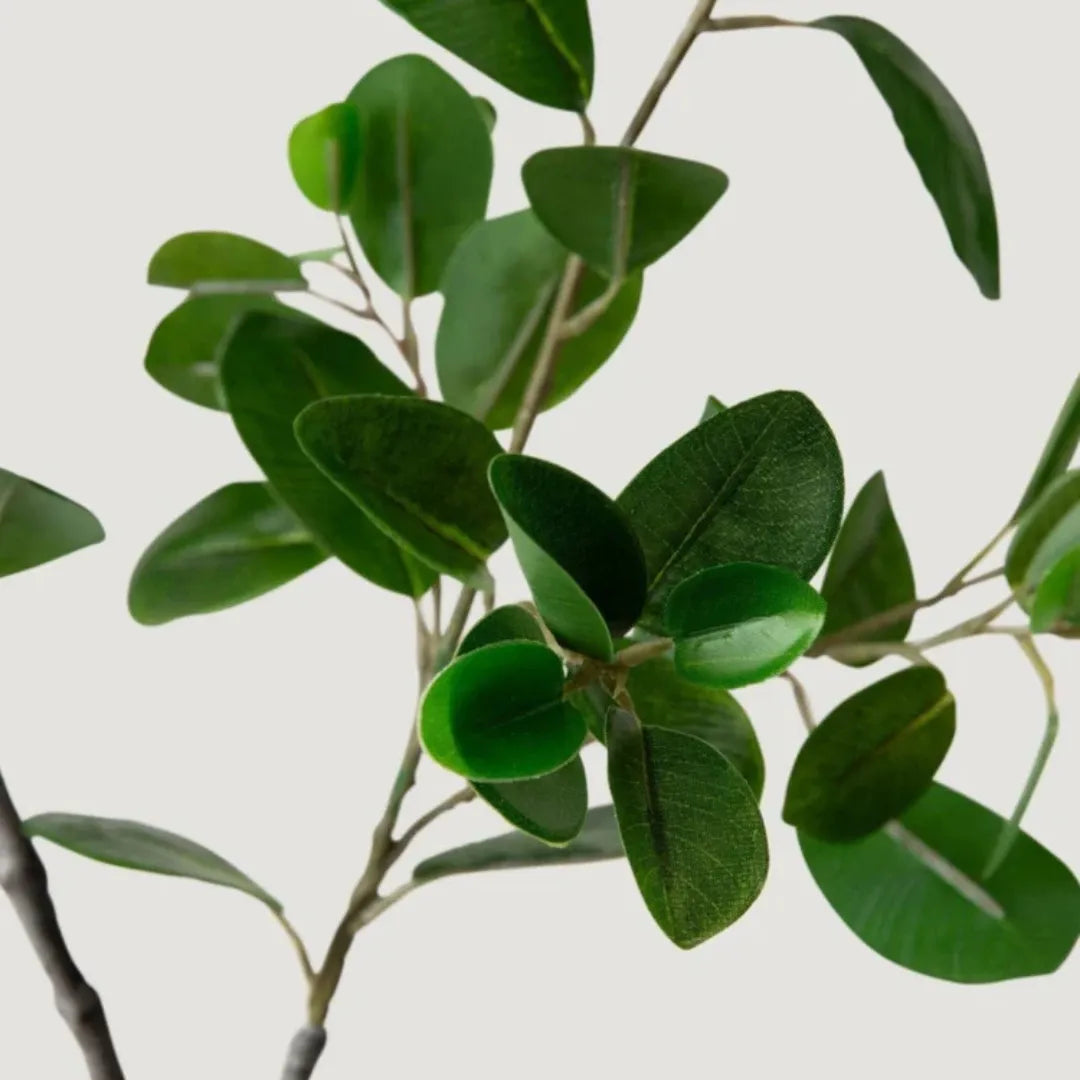 planta-artificial-ramo-de-ficus-italiano