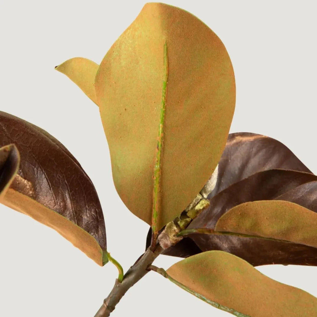 planta-artificial-ramo-de-folhas-de-magnolia-envelhecida