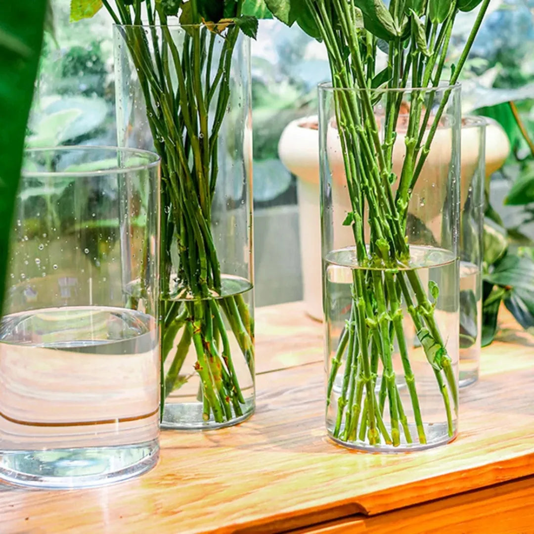 vaso-de-planta-acrilico-transparente