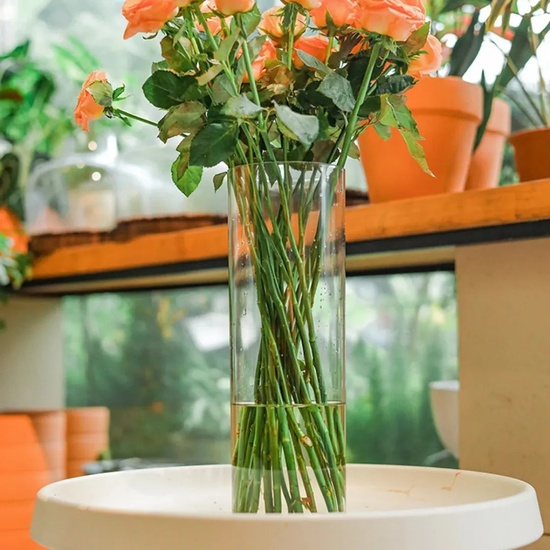 vaso-de-planta-acrilico-transparente