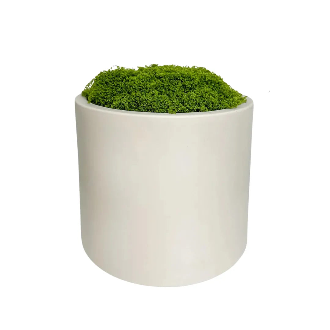 vaso-de-planta-ceramica-branca-decorativo