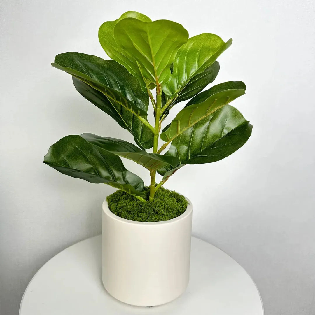 vaso-de-planta-ceramica-branca-decorativo