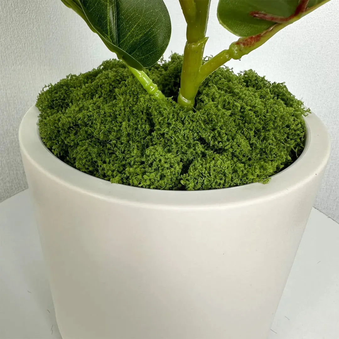 vaso-de-planta-ceramica-branca-decorativo