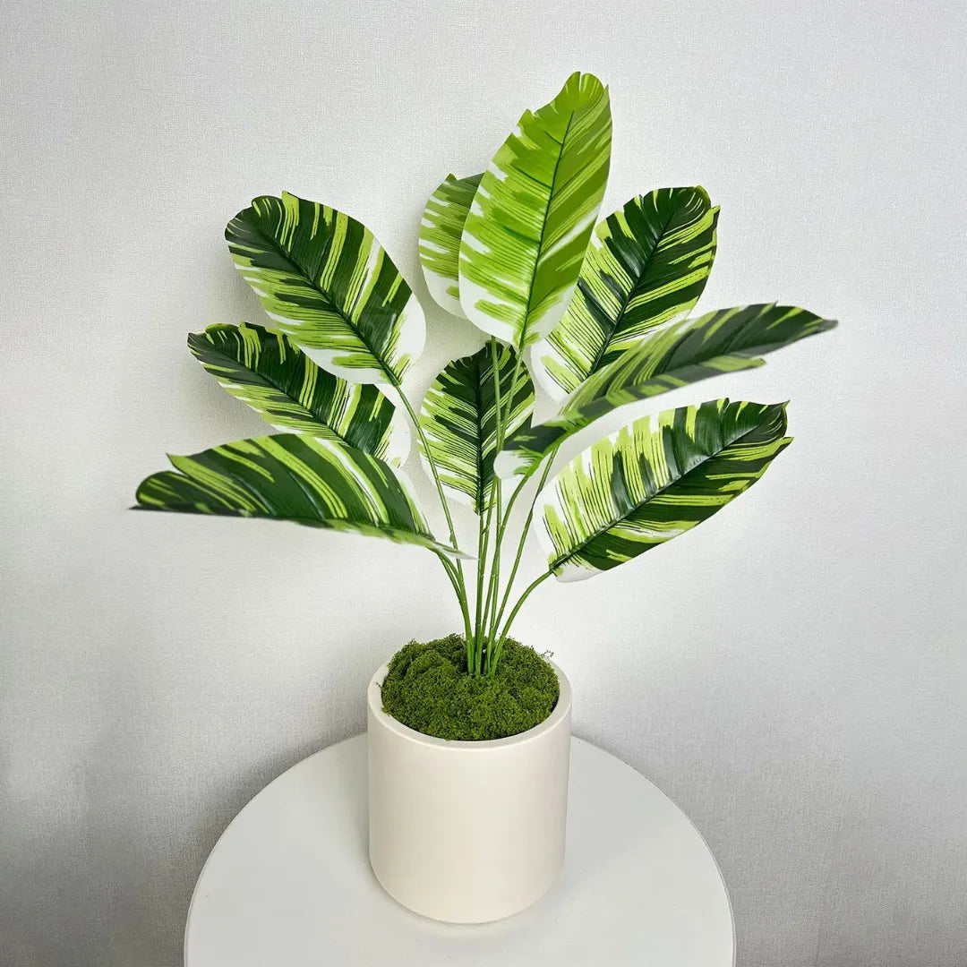 vaso-de-planta-ceramica-branca-decorativo