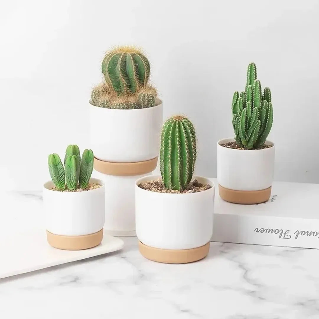 vaso-de-planta-dupla-camada-removivel-pequeno