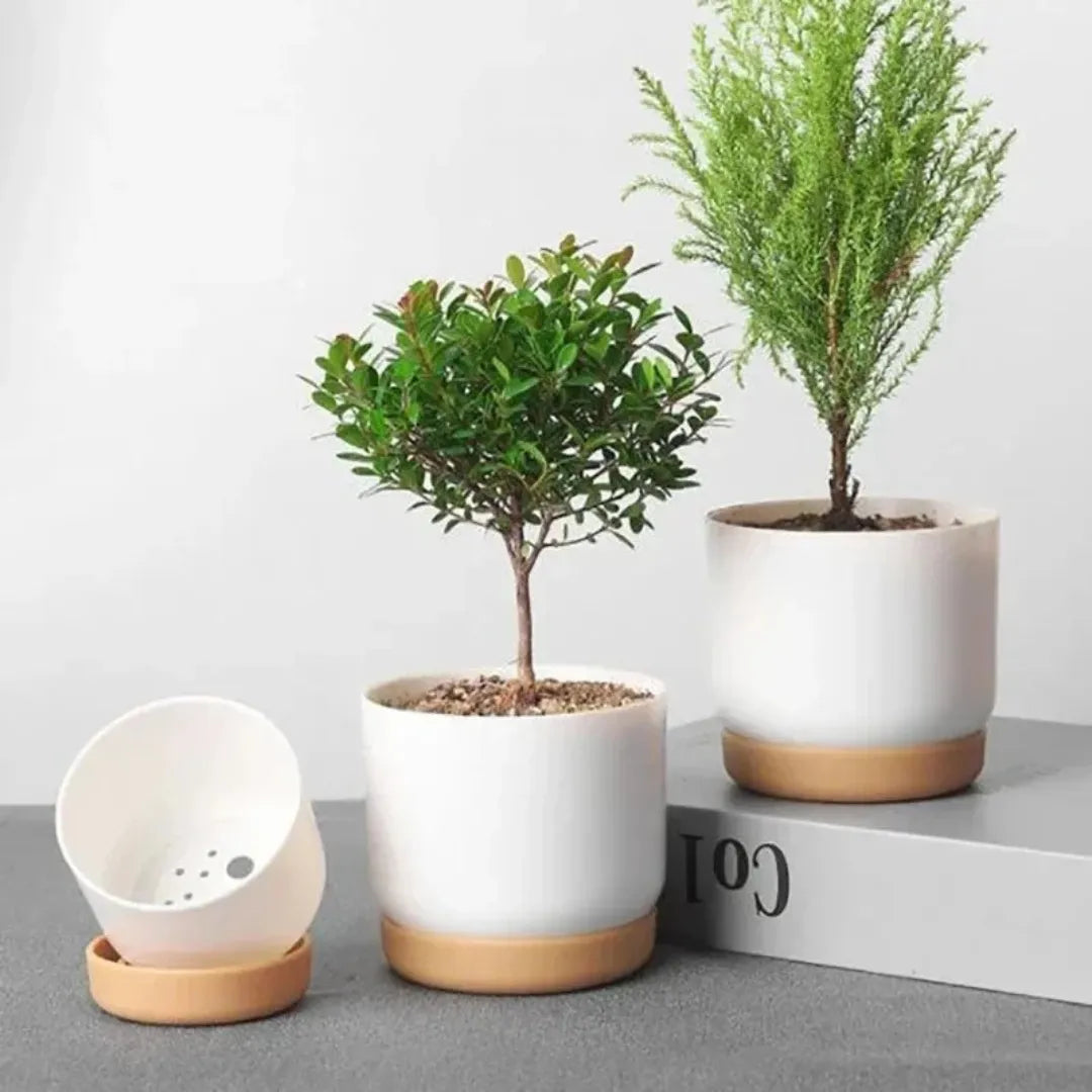 vaso-de-planta-dupla-camada-removivel-pequeno