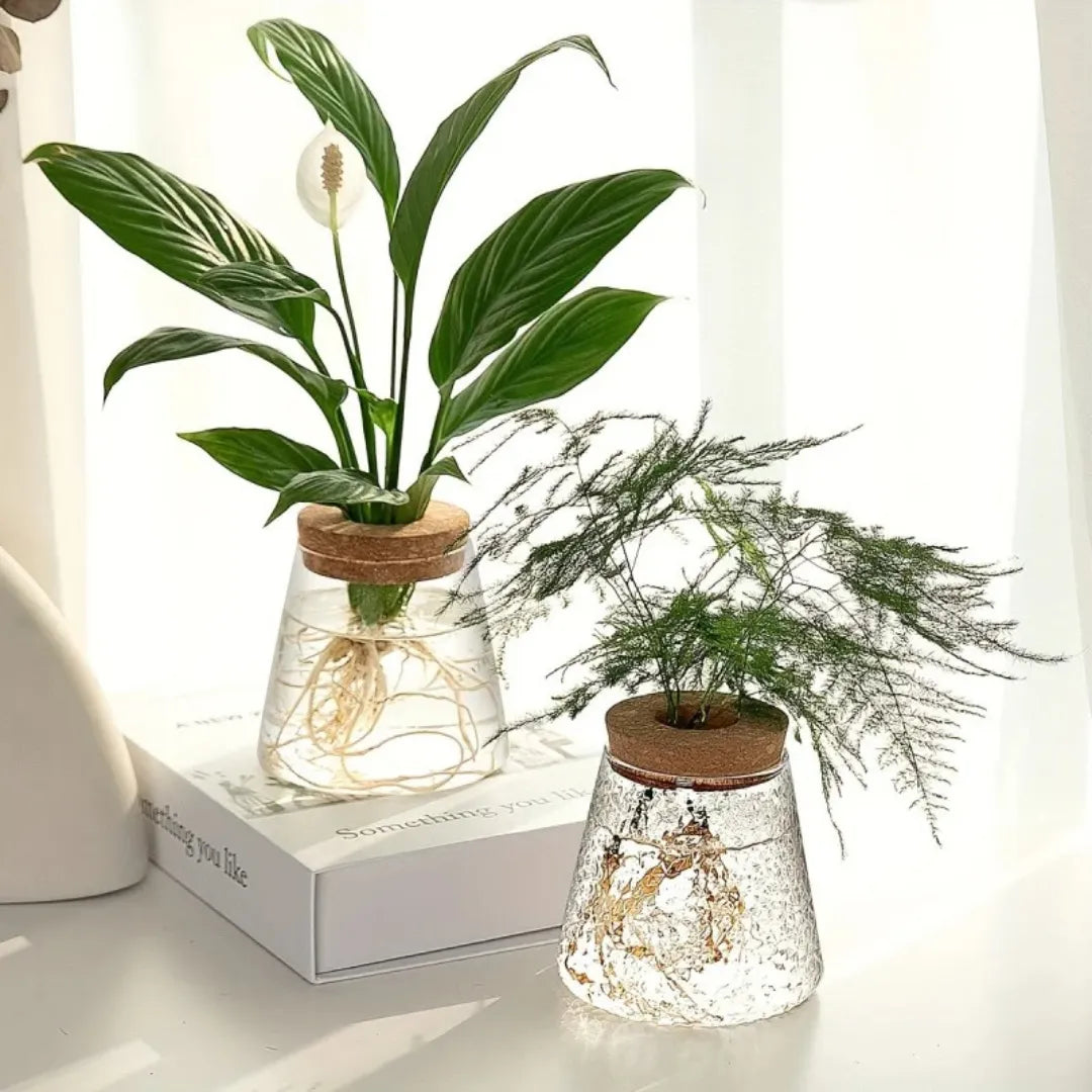 vaso-de-planta-hidroponico-em-vidro